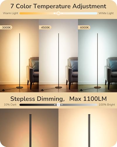 Black 2 Pack 57.5-Inch Dimmable Floor Lamp with Remote & 7 CCT Options