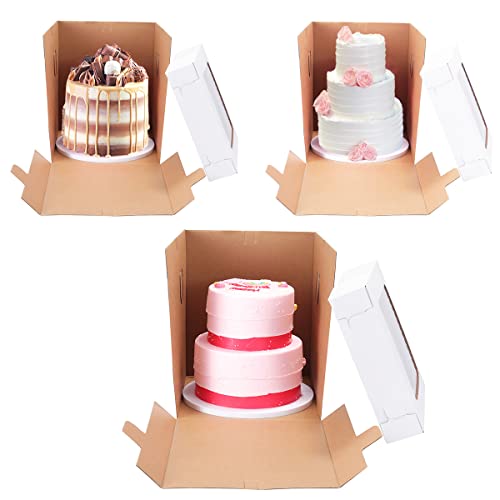 Tall Cake Boxes 10x10x12 Inch for Tier Cakes - 10 Pack with Display Window & Instructions