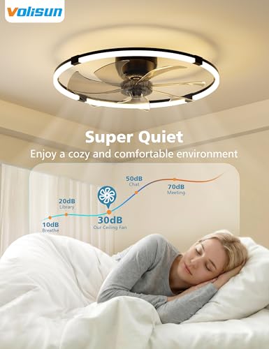 Black 23.6-inch Low Profile Ceiling Fan with Lights Remote Dimmable Modern LED