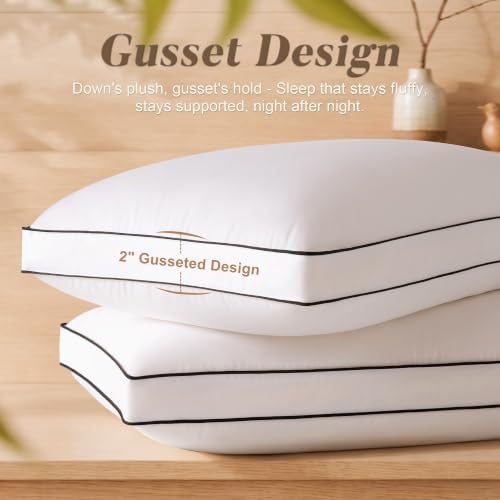 DOWNSTORIA Standard 2-Pack Goose Feather Down Pillows Luxury Hotel Collection
