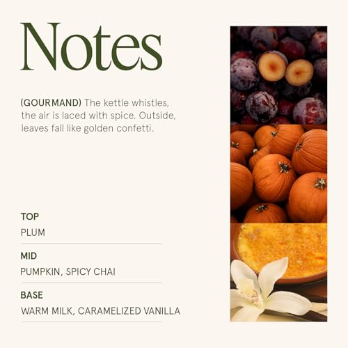 Pumpkin Chai Scented Candle - Natural Soy 2-Wick, 12 oz, Cozy Fall Home Decor