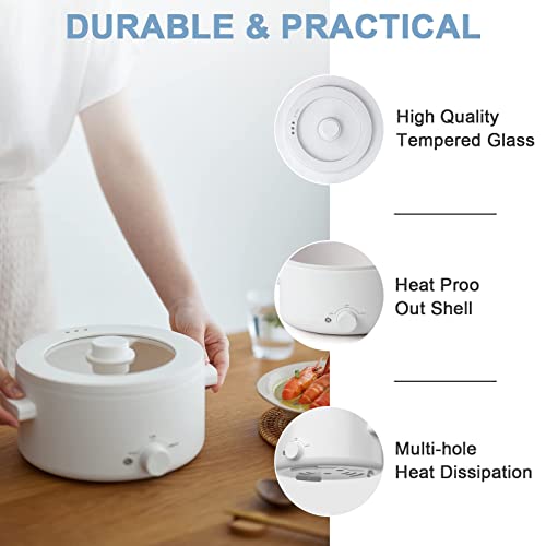 Electric Hot Pot, 2L Dual Power Multi-Functional Cooker
