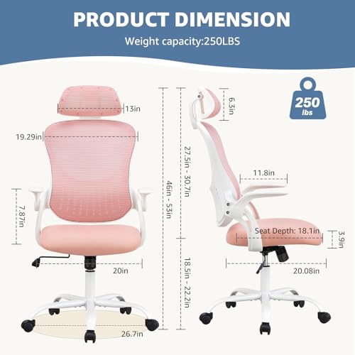 DUMOS Ergonomic Office Chair, Desk Computer Lumbar Support