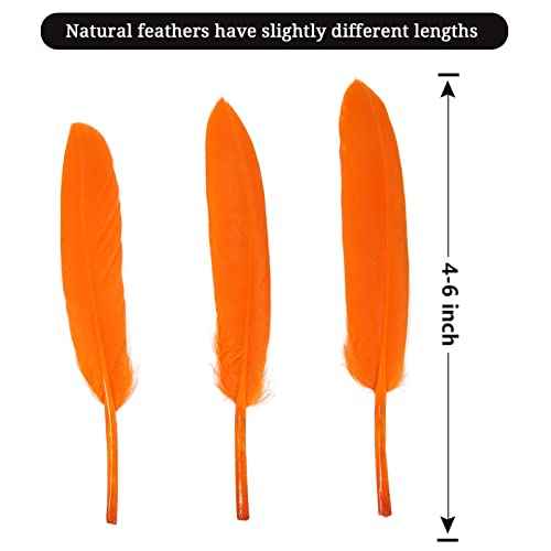 FeelfunFeather 120pcs Orange Goose Cochettes Feather Natural Bulk 4-6 inch 10-15cm for Wedding Party Christmas Halloween Decorations DIY Crafts Goose Cochettes Feather