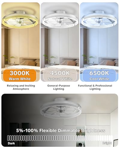 20-Inch Ceiling Fan with Lights Remote Control & App, Low Profile Fandelier