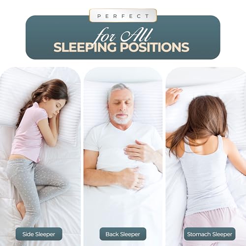 White Standard Bed Pillows Set of 2 - Plush Support & Breathable Cover