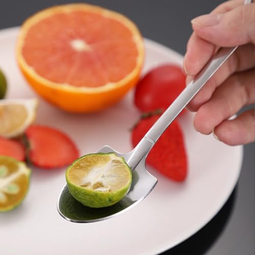 Stainless Steel Dessert Spoon Set - 4 Pcs Ice Cream & Fruit Spoons
