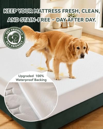 Twin Size Waterproof Tencel Mattress Protector with Cooling Breathable Cover