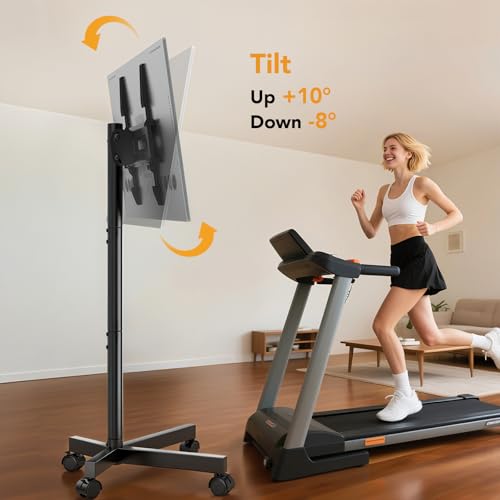 Hemudu Mobile TV Stand for 23-60 Inch LCD LED Flat/Curved Screen TVs,