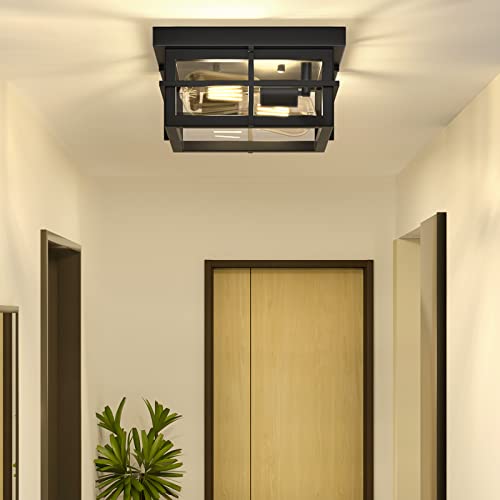 2-Light Modern Outdoor Ceiling Light Fixture with Clear Glass Shade - Black Farmhouse Square Flush Mount