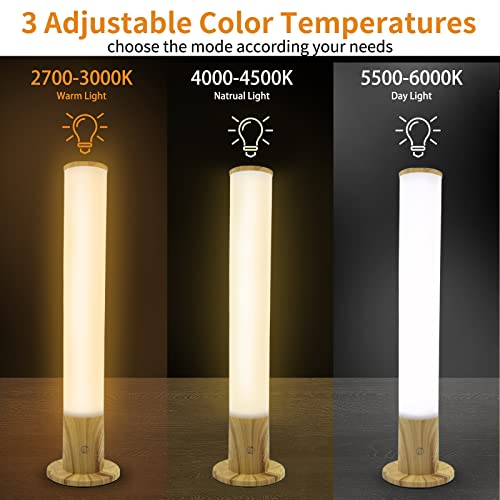 VUSIHOO 10,000 Lux UV-Free Sunlight Therapy Lamp with 3 Color Temperatures & Adjustable Brightness