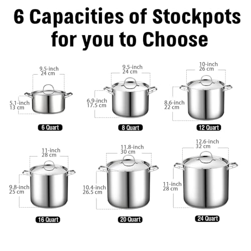 8 Quart Stainless Steel Stock Pot - Induction Compatible with Lid