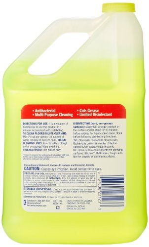 Mr. Clean Multi-Surfaces Antibacterial Liquid Cleaner Summer Citrus 128 Oz