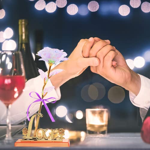 Double Couple Galaxy Forever Crystal Colorful Rose Flower with Love Stand Unique Rose Gifts for Mother's Day Wedding Anniversary Girl's Birthday Christmas and Valentine's Day (Multicolor)