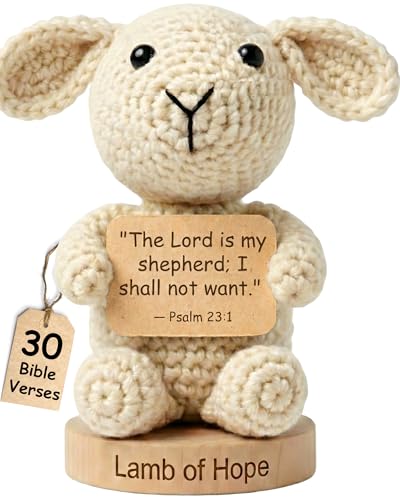 Got You a Little Something Lamb of Hope Off White - Christian Prayer Cards & Figurine Set