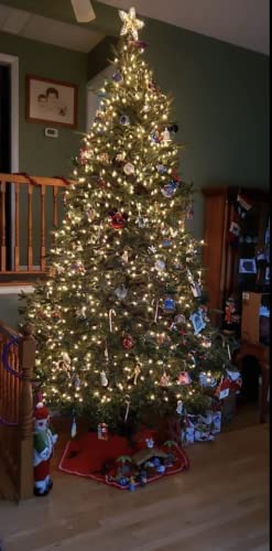 Heavy Duty Christmas Tree Stand for Live Trees Up to 8 Feet with Watering System