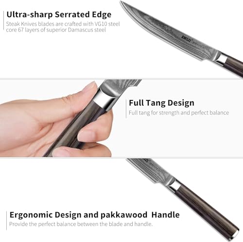 6-Piece VG10 Damascus Non-Serrated Steak Knife Set with Pakkawood Handles