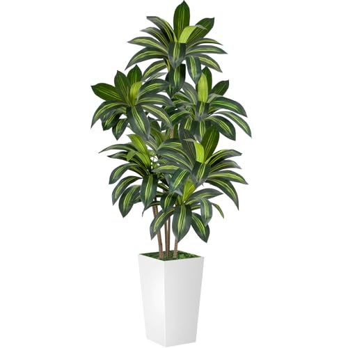 6FT Artificial Dracaena Tree with White Planter - Indoor & Outdoor Faux Tree