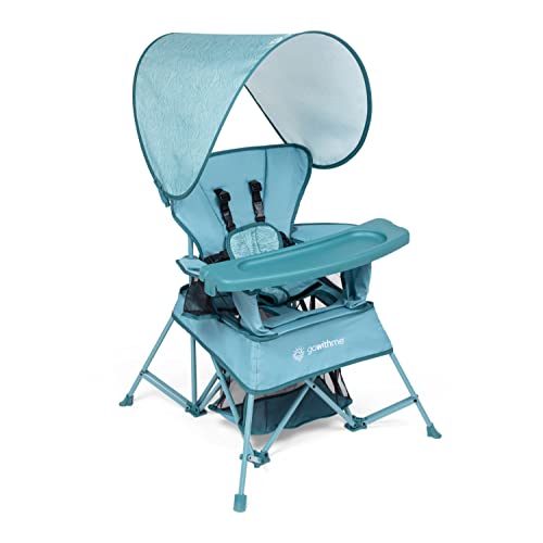 Baby Delight Go With Me Venture Portable Toddler Chair with Sun Canopy - Blue Wave