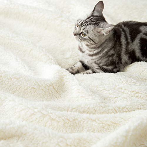 LBRO2M Ivory Sherpa Fleece King Bed Blanket 90x104 Plush Warm Throw