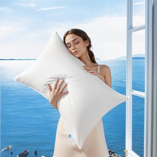 Queen Size Canadian Goose Down Pillow - 900 Fill Power White Luxury Bed Pillow - AiAngu