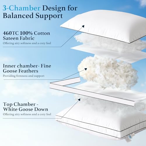 Luxury Hungarian Goose Down Pillow 2 Pack - Supportive & Soft for Sleepers