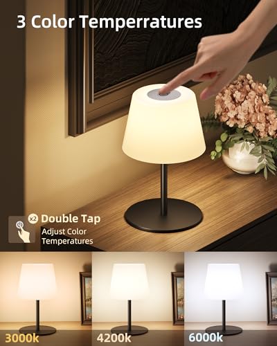 Cordless Waterproof Shower Lamp - Black, 3 Color Temperatures, Rechargeable, Touch Dimming, 1 Pack