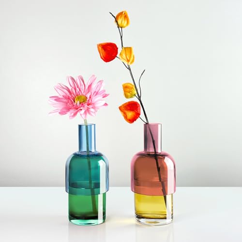 Cloudnola Reversible Glass Flower Vase Set of 2 - Blue, Green, Pink & Yellow Decorative Gift