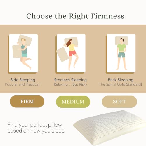 JOTOM Standard Mid Loft 100% Natural Talalay Latex Pillow for Side & Back Sleepers