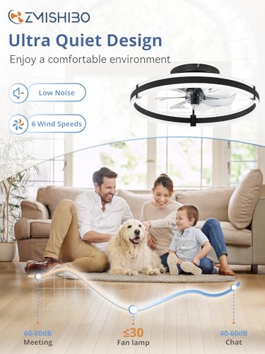 Low Profile 19.7 Inch Ceiling Fan with Lights and Remote Control - Black, Smart App Compatible