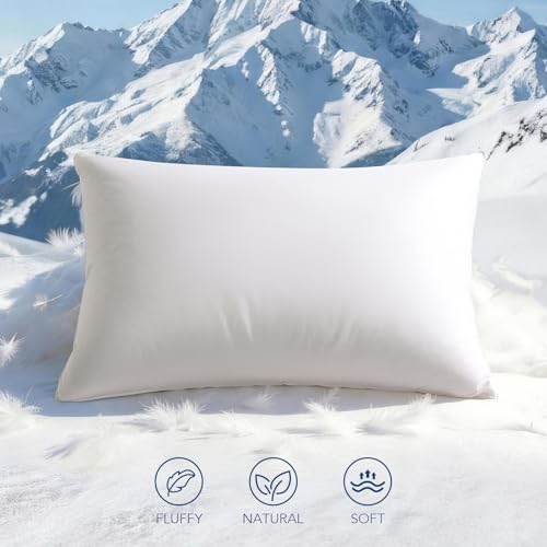 King White Goose Down Pillow 1050 Fill Power Plush Support - Variation: White / King / 1