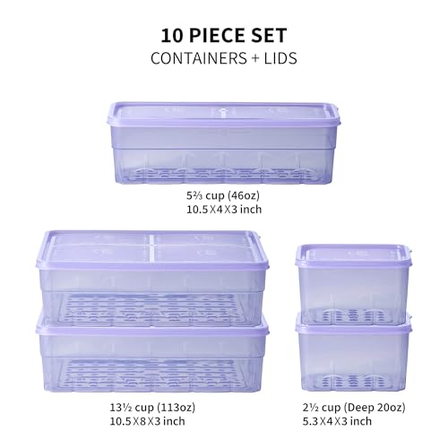 10-Piece Food Storage Freezer Containers with Lids - Flexible, BPA Free, Twist Release for Soup & Meal Prep - Variation of THIS listing 10