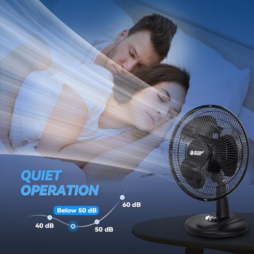 BEYOND BREEZE 12-Inch Black Oscillating Table Fan, 3 Speeds, Quiet & Portable