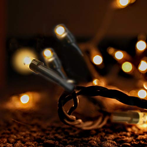 Warm White 50 LED Christmas String Lights with Timer, Battery Operated