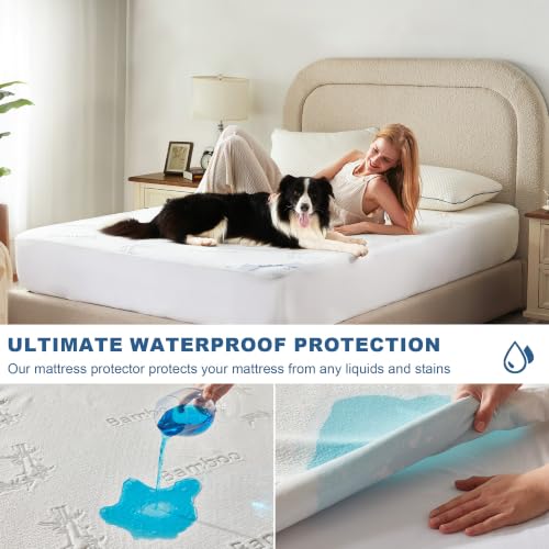 White Queen Waterproof Mattress Protector with Bamboo Viscose Cover