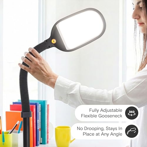 LED Floor Reading Lamp with Adjustable Gooseneck - Black
