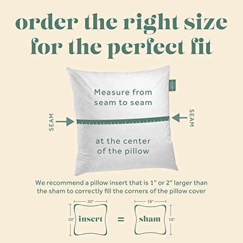 24x24 Throw Pillow Insert - Down Feather Fill, Cotton Cover, Made in USA - Premium Decorative Pillow Form for Sofa & Bed (Variation: 24X24 / 1)