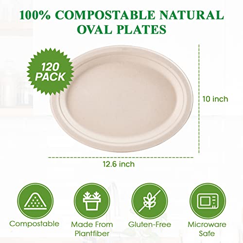 Vplus 12-Inch Compostable Oval Paper Plates - 120 Pack, Nature Variation