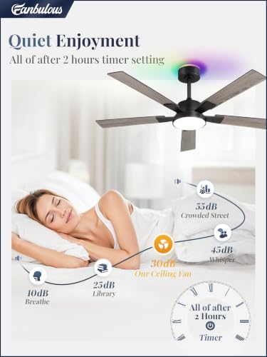 Black 52-Inch Smart Ceiling Fan with Light Remote Alexa Compatible