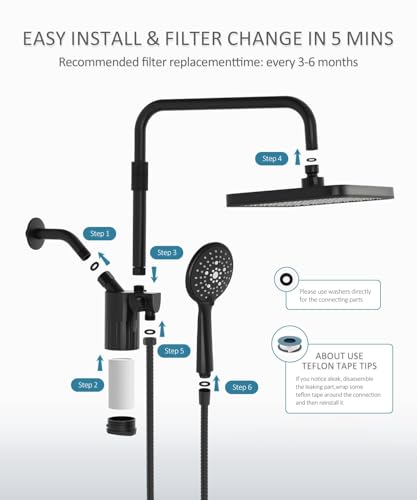 Black 12-Inch Shower Head with Filters and Handheld Spray Combo