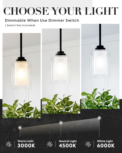 TENGXIN 2 Pack Matte Black Pendant Lights for Kitchen Island with Dual Glass Shades - Adjustable Height