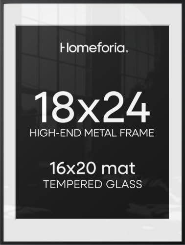 Homeforia 18x24 Black Metal Poster Frame with Glass & 16x20 Mat