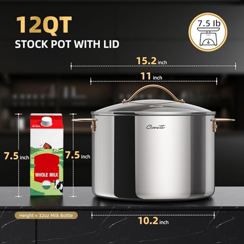 12 Quart Stock Pot with Lid - Tri-Ply Stainless Steel Large Cooking Pot