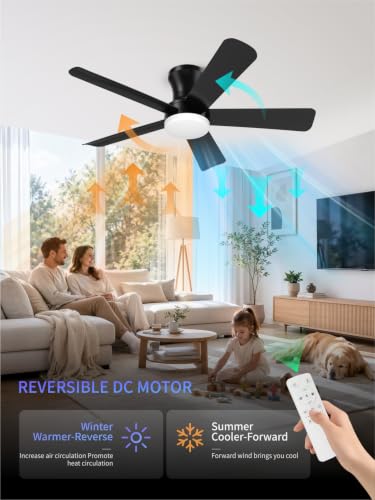 Black 42 Inch Low Profile Ceiling Fan with Light Remote Control