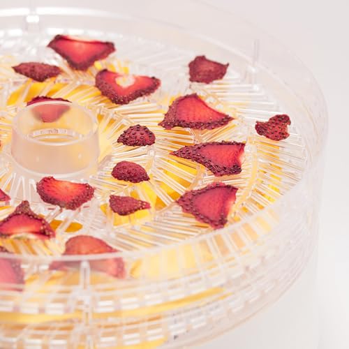 Commercial CHEF White Food Dehydrator with 5 BPA-Free 9.25" Trays, CCD100W6