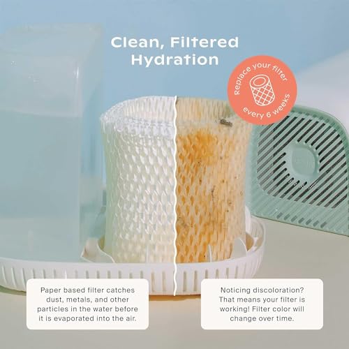 Canopy Bedside Humidifier Replacement Filter - 6 Week Wood Pulp Filter