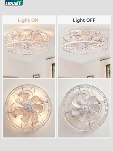 LEDIARY White Gold Caged Ceiling Fan with Light, Remote Control & Quiet Motor