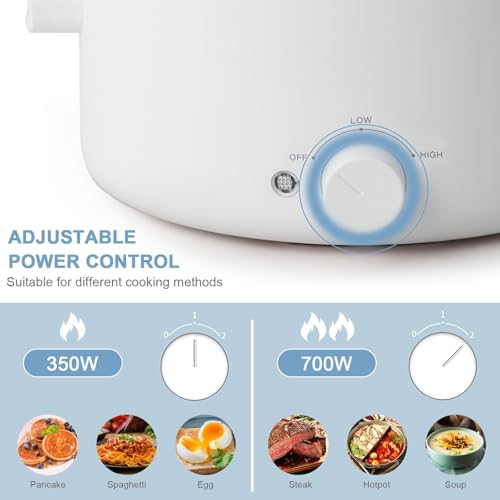 Electric Hot Pot, 2L Dual Power Multi-Functional Cooker