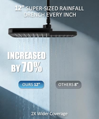 Black 12-Inch Shower Head with Filters and Handheld Spray Combo