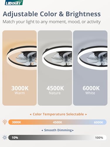 Black 20-Inch Low Profile Ceiling Fan with Lights, APP & Remote Control